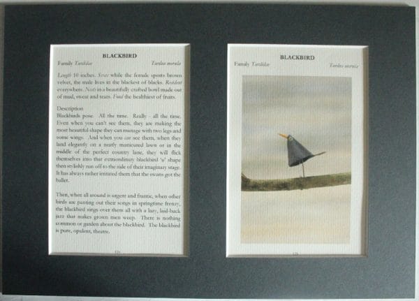 Blackbird