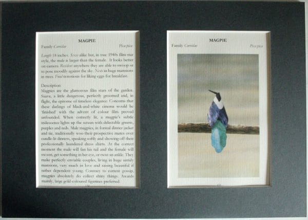 Magpie