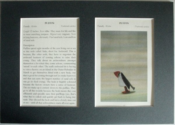 Puffin