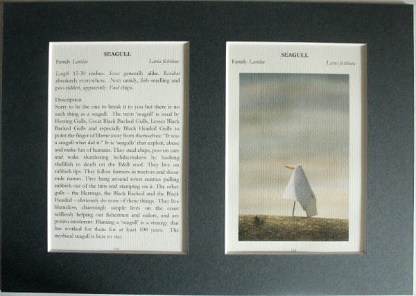 Seagull