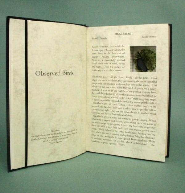 Restructured Book.  Observed Birds: Blackbird
