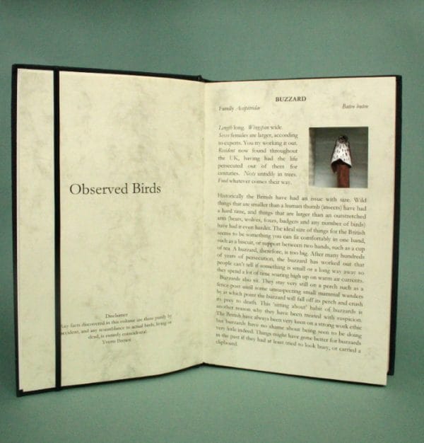 Restructured Book.  Observed Birds: Buzzard