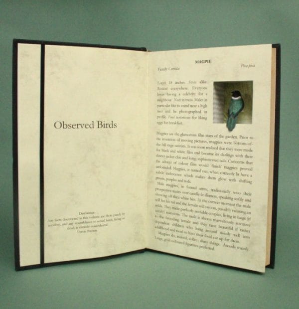 Restructured Book.  Observed Birds: Magpie
