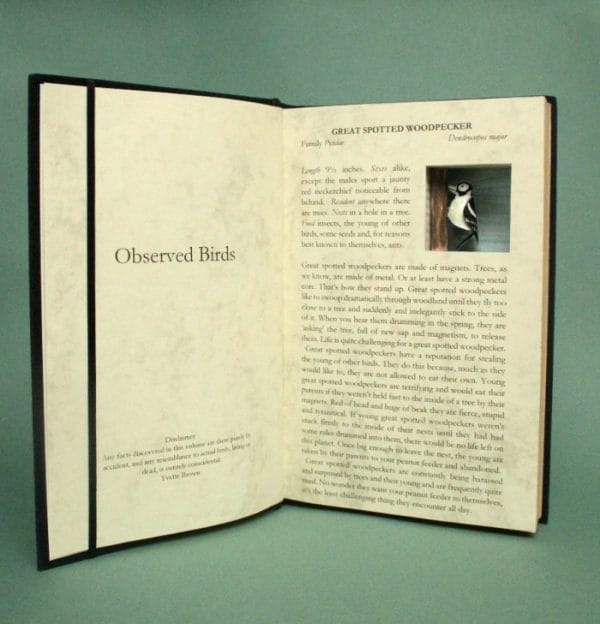 Restructures Book:  Observed Birds: Great Spotted Woodpecker