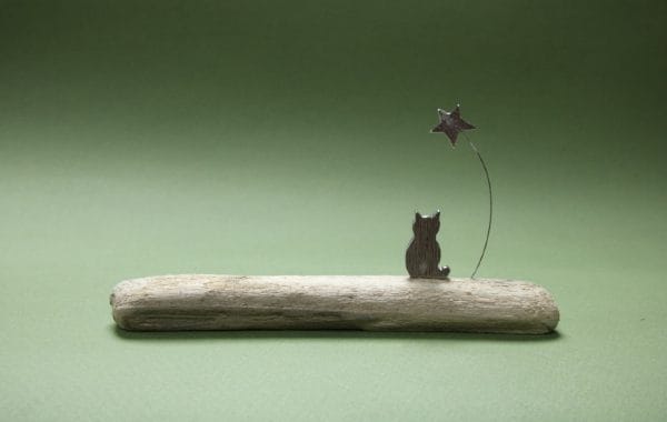 Cat and Star